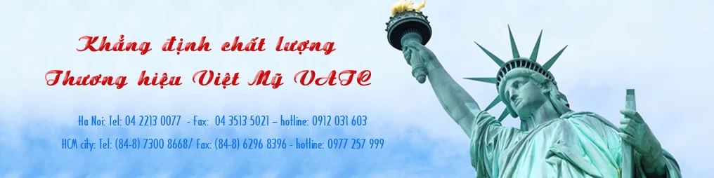Công ty kế toán Việt Mỹ